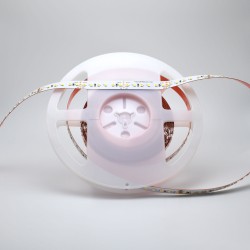 12V ProColour Vari-White LED Ribbon - 5m