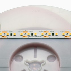 12V ProColour White LED Ribbon - 5m 12V ProColour White LED Ribbon - 5m