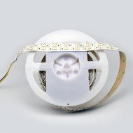 12V Double Row ProColour Vari-White LED Ribbon - 2.5m