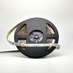 12V ProColour RGBA Single Chip LED Ribbon - 5m
